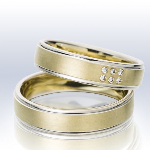 Rauschmayer Eheringe/Trauringe Elements - KL 6 Bicolor (Elements Gold) 11-50690/10-50690