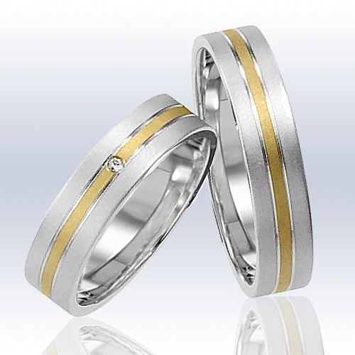 Rauschmayer Eheringe/Trauringe Elements AK 6 Bicolor 11-50485/10-50485