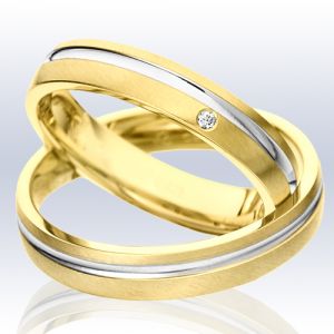 Rauschmayer Eheringe/Trauringe Elements - KL 3 Bicolor (Elements Gold) 11-50665/10-50665