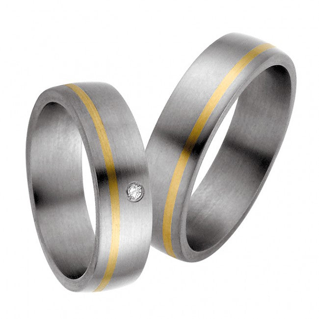Rauschmayer Eheringe/Trauringe Titan Plus Bicolor 11-50531/10-50531